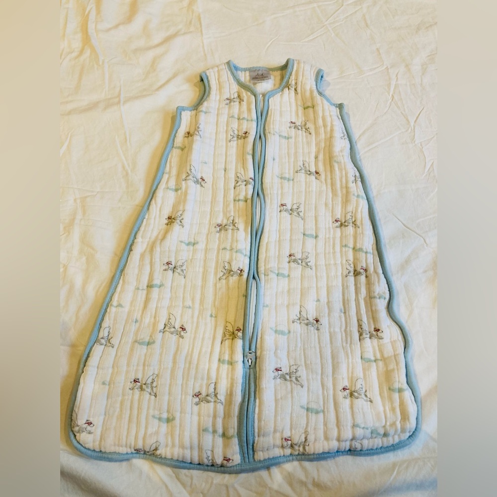 Aden + Anais sleep sack